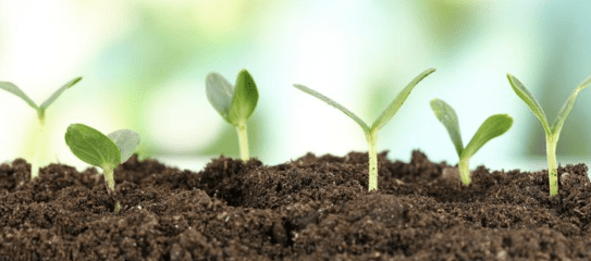 Screen Shot 2015-03-20 at 3.22.10 PM