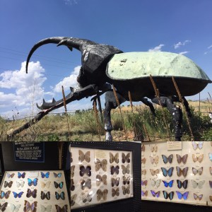 BC65C586-EC14-47E5-9962-ED18D9D19817